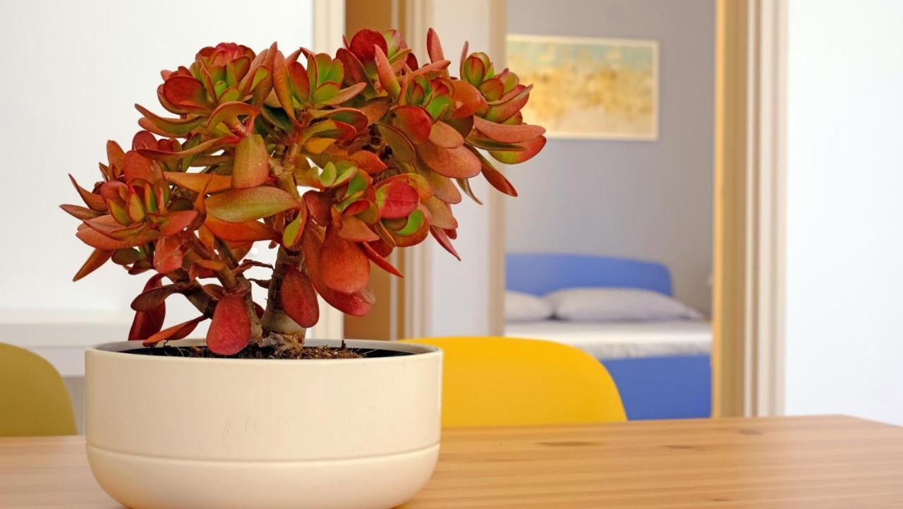 Casa Barca - Le Chiavi Degli Iblei Apartment ปุนตา บราคเชทโต ภายนอก รูปภาพ